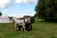 Transport de grume