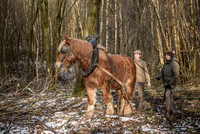 Débardage 10 Fev 18-13