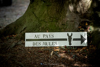 Au pays des mules