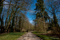 Printemps Meise-1