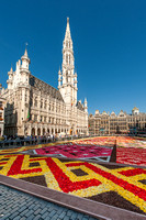 Tapis de fleurs- Bruxelles