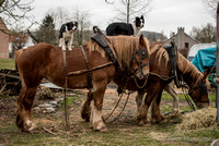 Travail agricole-3