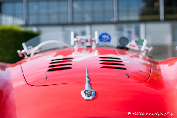 Cisitalia 202 SMM Nuvolari-2