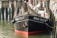 Oostende voor anker-10