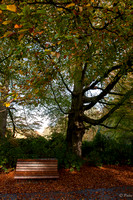 Groenenberg-3