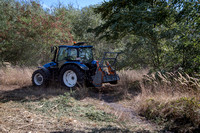 Demo Days - Vandaele Forestmaster