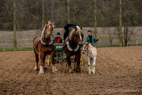Travail agricole-16