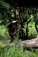 Zoo Lille-8
