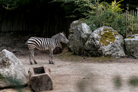 Zoo Lille-17