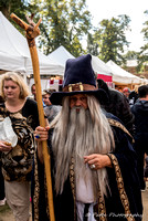 Fêtes médiévales Forest 2015